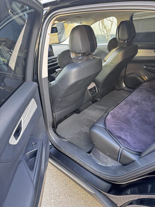 Hongqi eqm5 500 tali