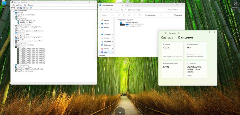 Ультрабук / Ноутбук - Asus | i5-8265U, MX 250 2GB, 8GB, 512GB SSD