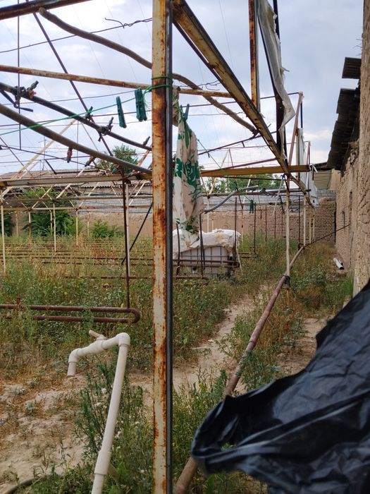 Teplisa sotiladi pul zarl kelishtrib beraman