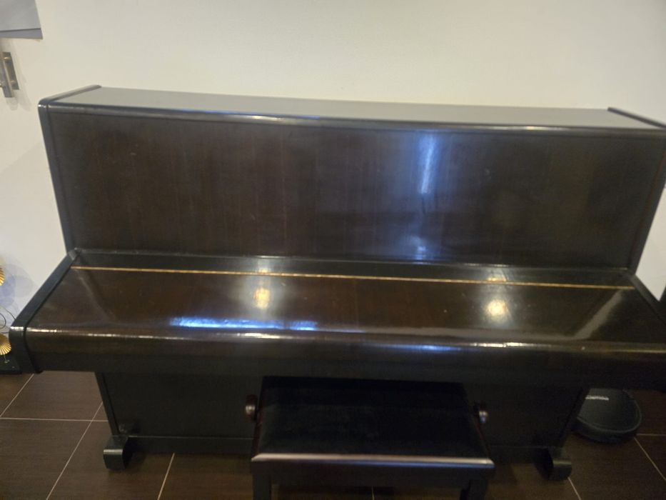 Pianină Doina placă bronz