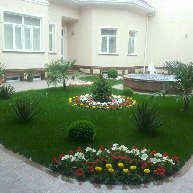 Gazon Ladshaft dizayin