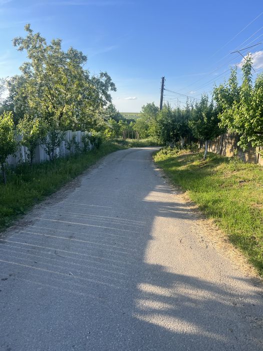 Teren intravilan Pielesti