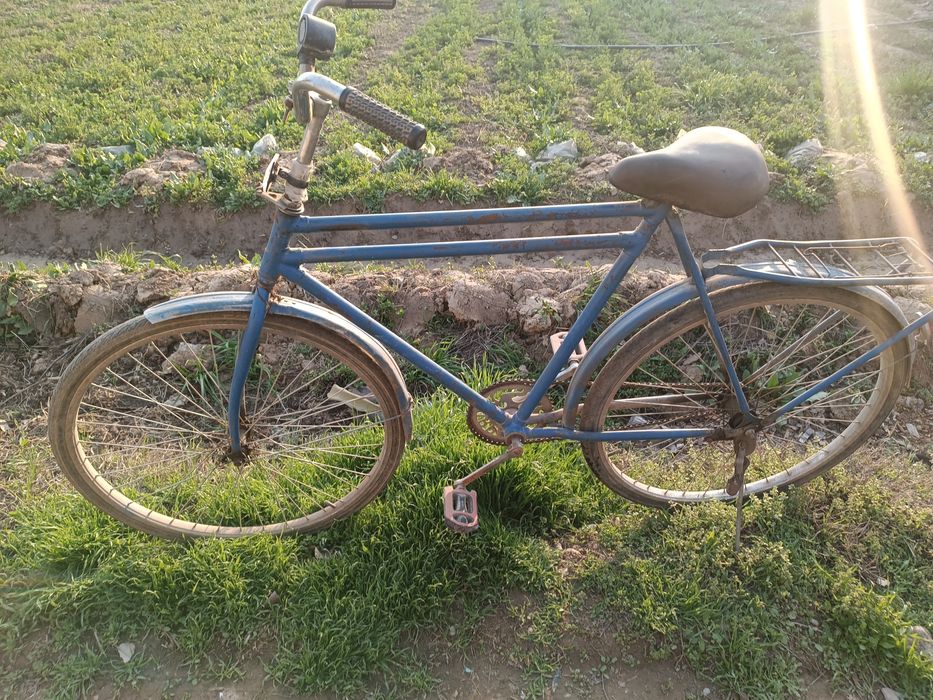 Velik sotiladi razmeri 28