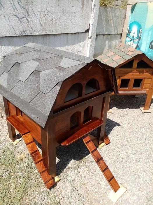 КотоДом для кошек.