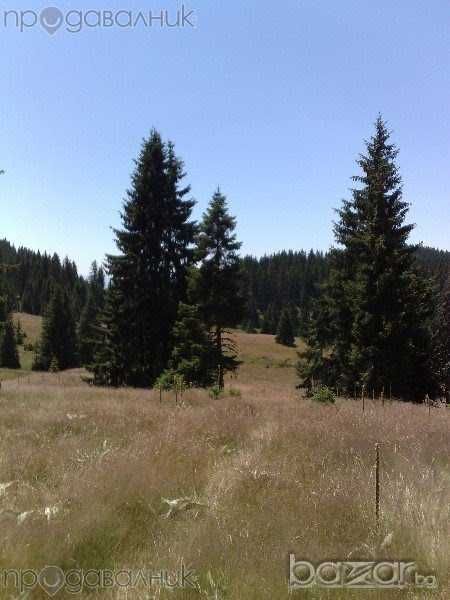 Продава се Парцел в Пловдив, Централна гара - 1760 кв.м за 12 €/кв.м - Снимка #2