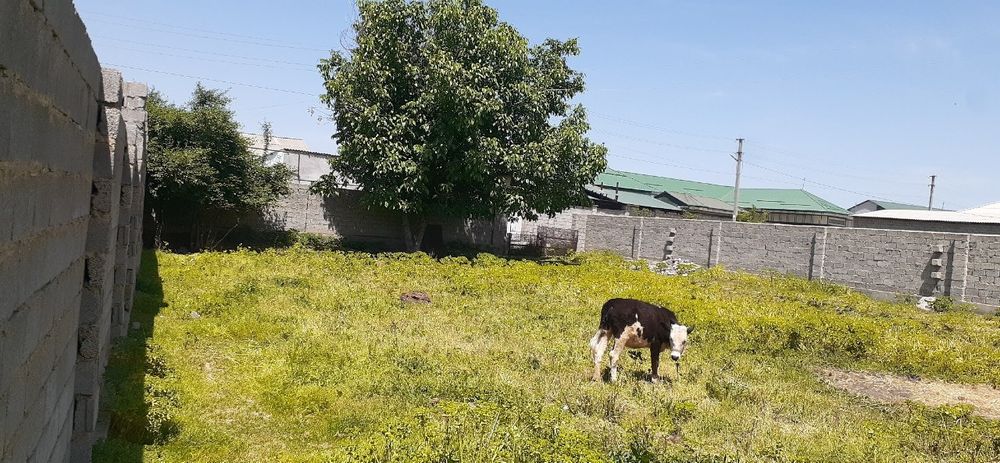 Етти сотихли ер сотилади