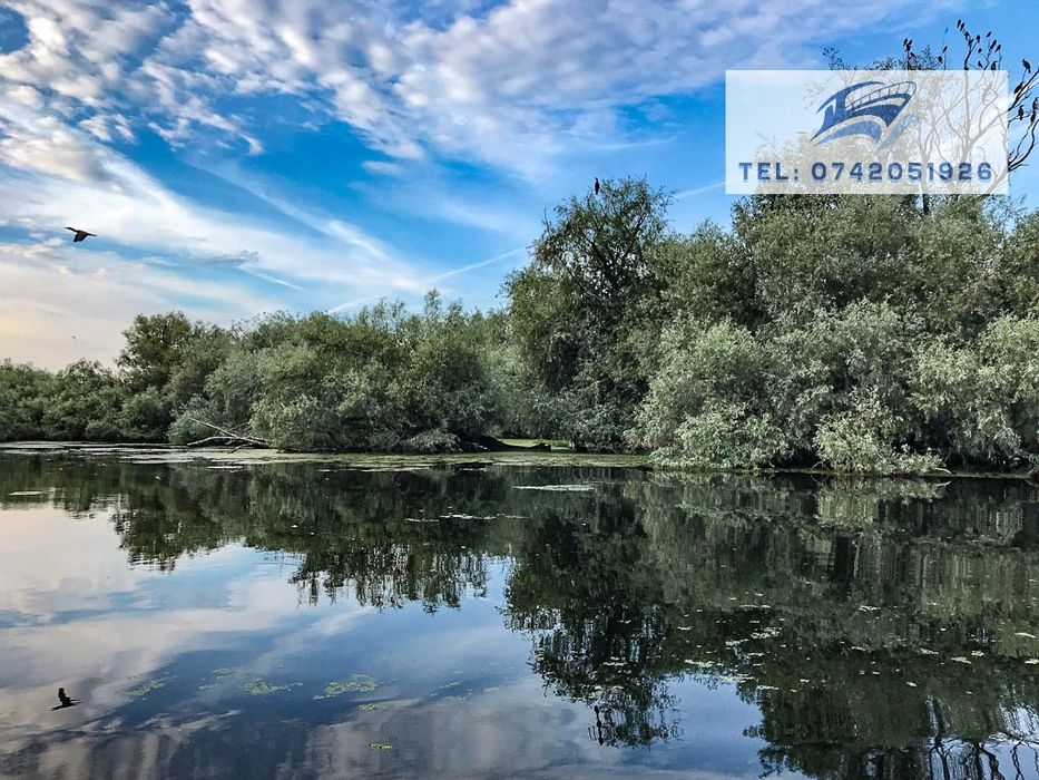 Excursii cu barca în Delta Dunării - Plecare din Mahmudia, jud. Tulcea