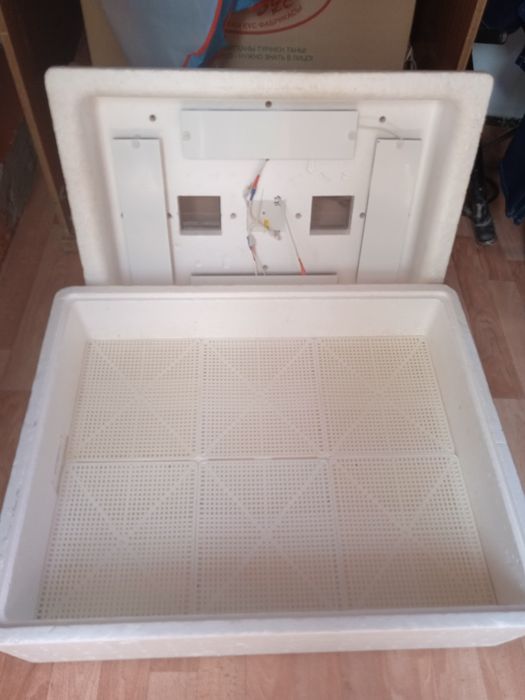 Инкубационные яйца. Инкубатор .