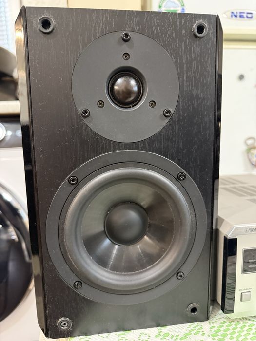 Yamaha NX-100 RX-E100