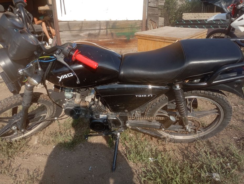 Продам альфу яки
