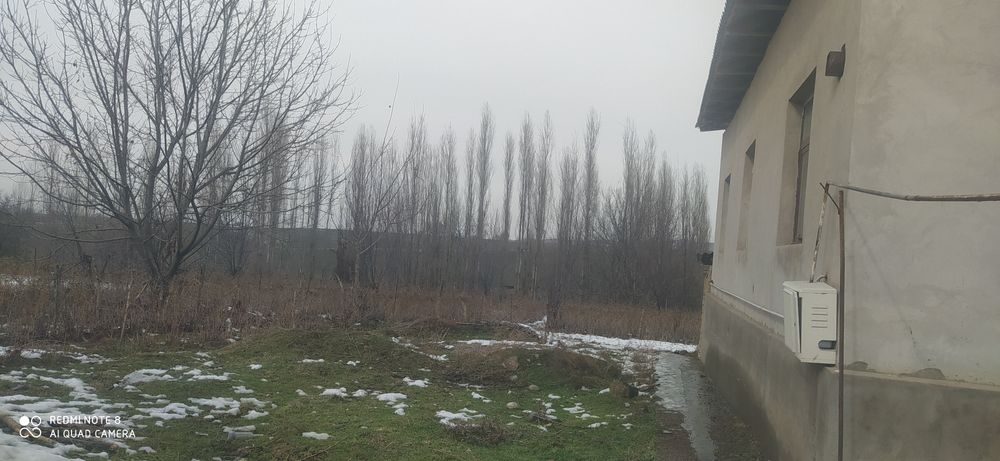 Уй сотилади 1гектар атрофида 100 000 уй яшашга таййор