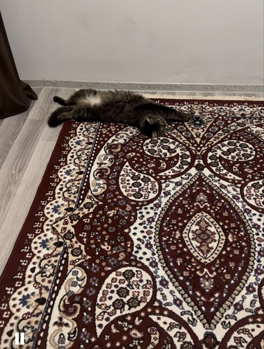 Продам  красивый ковер в отличном состоянии