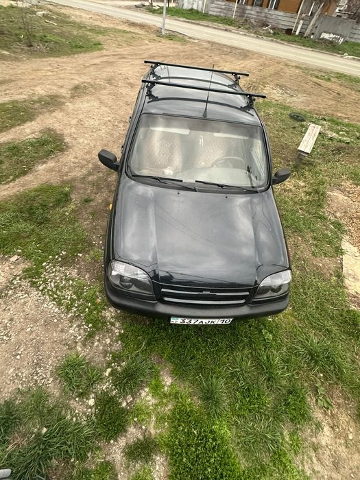 Шнива живая ездиет