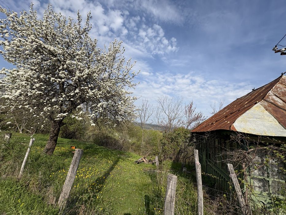 TEREN + CASĂ + LIVADĂ | 5200 mp ideal investietie sau locuinta