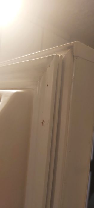 Хладилник с фризер Daewoo ERF-414-ALC