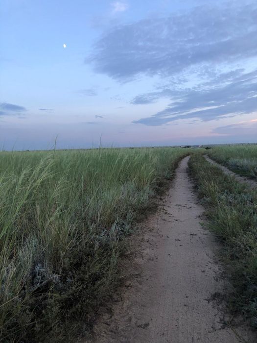 Продам крестьянское хозяйство