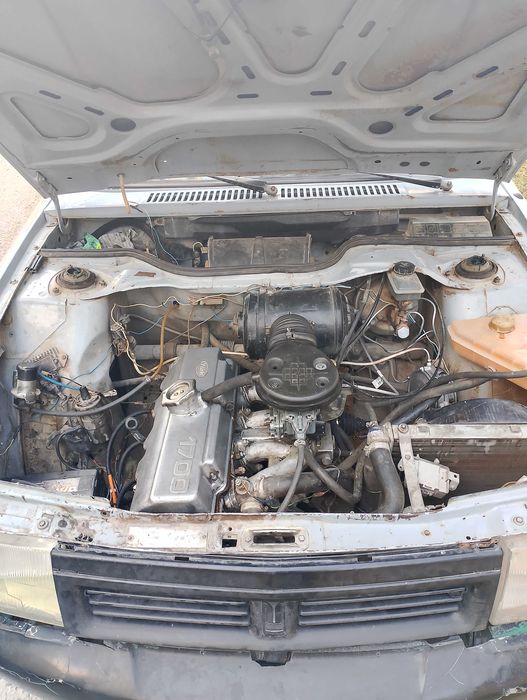 ПрадамМасвич2141