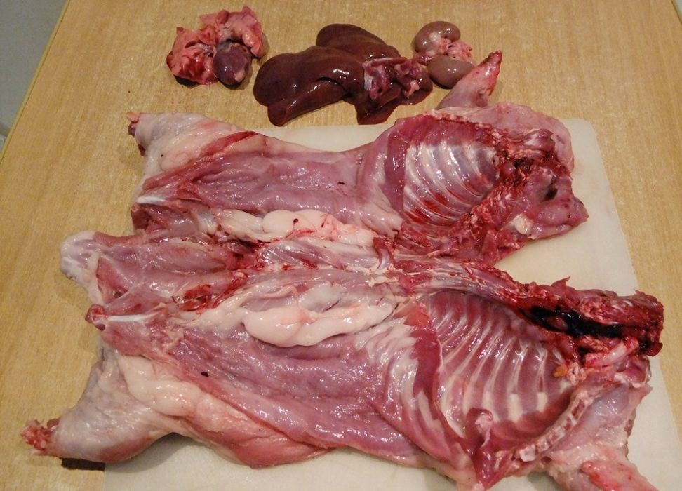 Продам Мясо нутрии