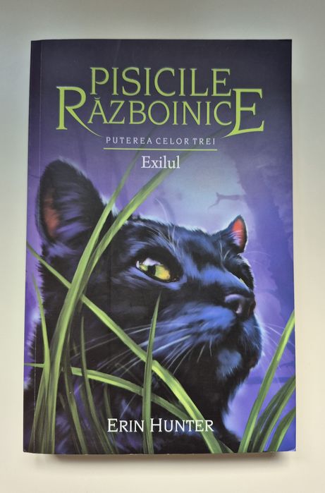 Pisicile Războinice - Puterea Celor Trei