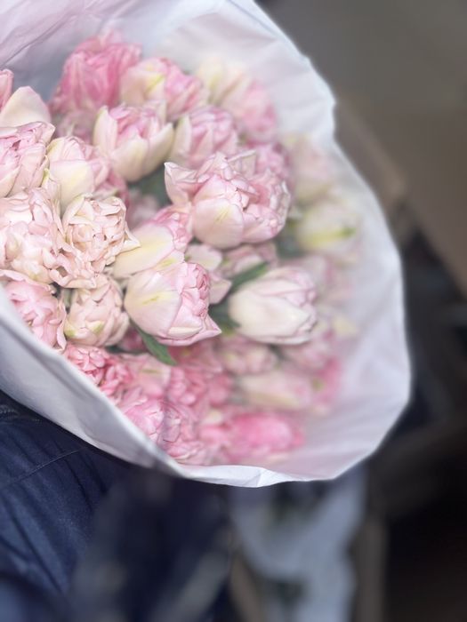 Продам тюльпаны 600