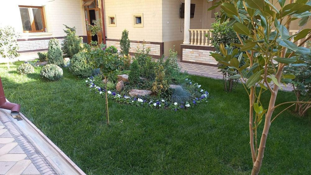 Gazon tayyor ruloniy ekamiz hamda uruglarin sepamiz yevro gazonlar