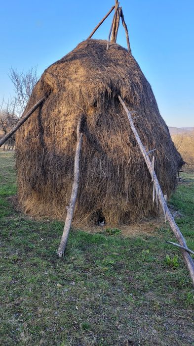 Claie cu fân -an 2025