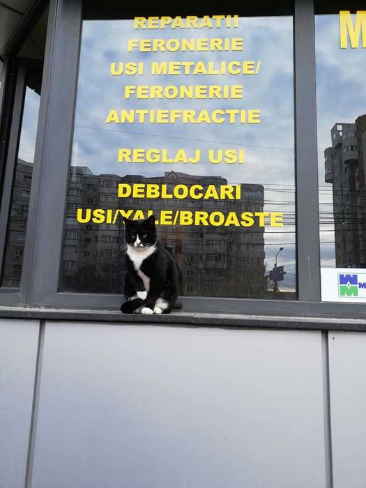 Deblocari usi Constanta