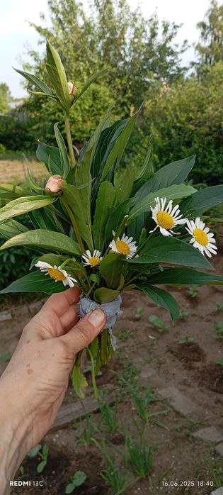 Продам дачу вобществе " садовод строитель"