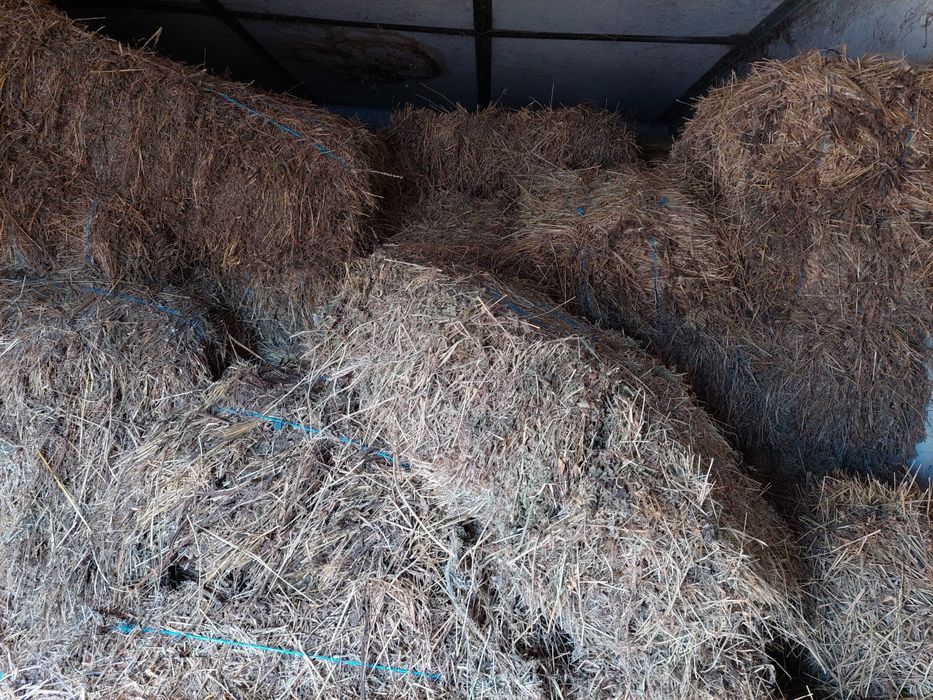 Vând baloți de fân