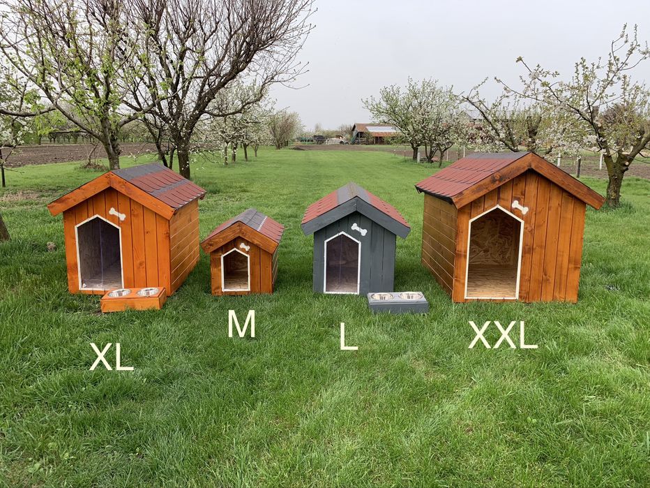 Cusca de caine izolata - calitate garantata