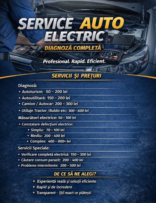 Diagnoza Electrician Auto Soft Dpf Egr Adblue