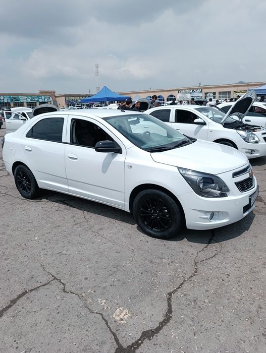 Cobalt midnight srochna sotiladi