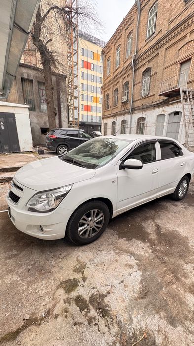 Кобальт 2024-25 style