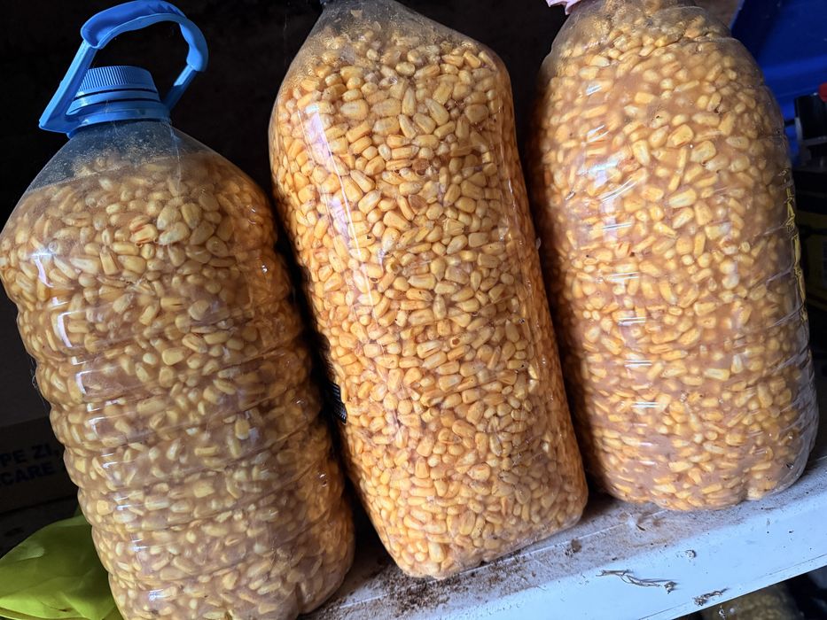 Porumb fermentat (imputit) pentru Pescuit(Nadit)