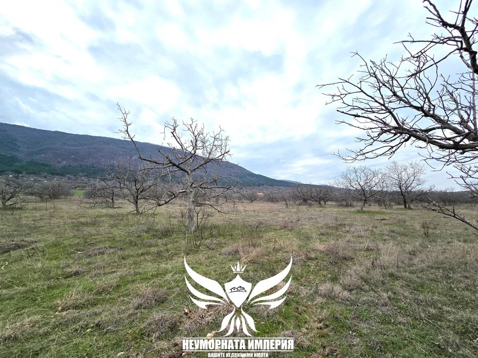 Продава се Парцел в Асеновград - 4132 кв.м за 16 €/кв.м - Снимка #13