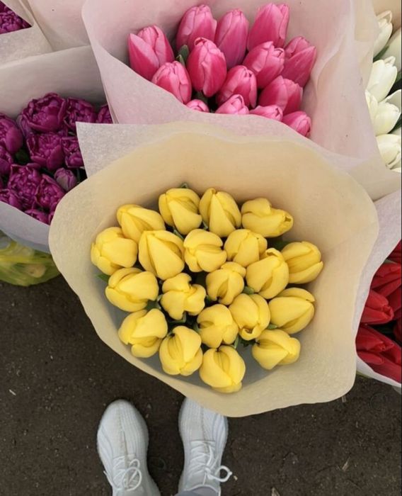 Тюльпаны к 8 марта