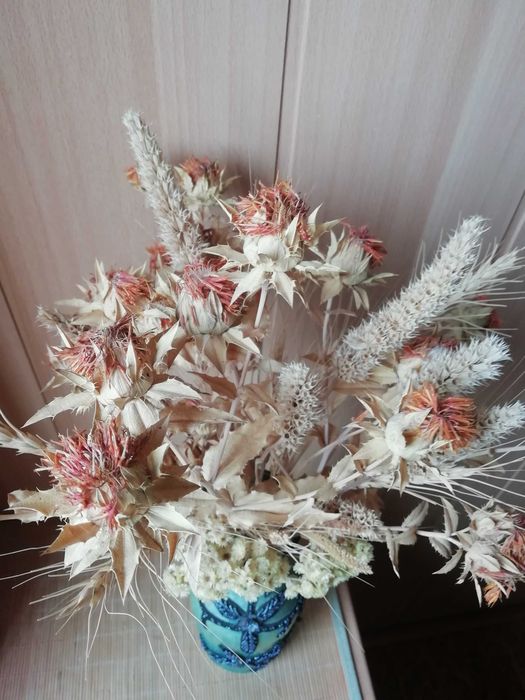 Сухоцветы для интерьера