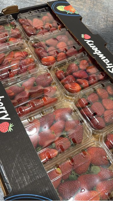 Клубника Египит