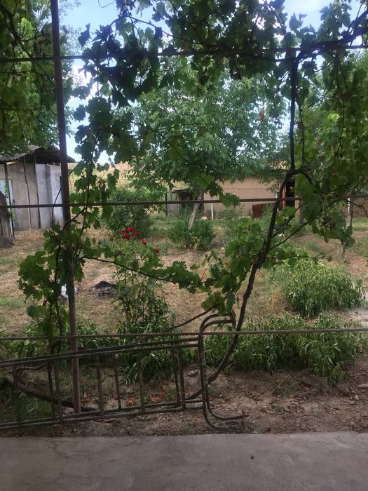 Dacha sotiladi o'rta saroyda