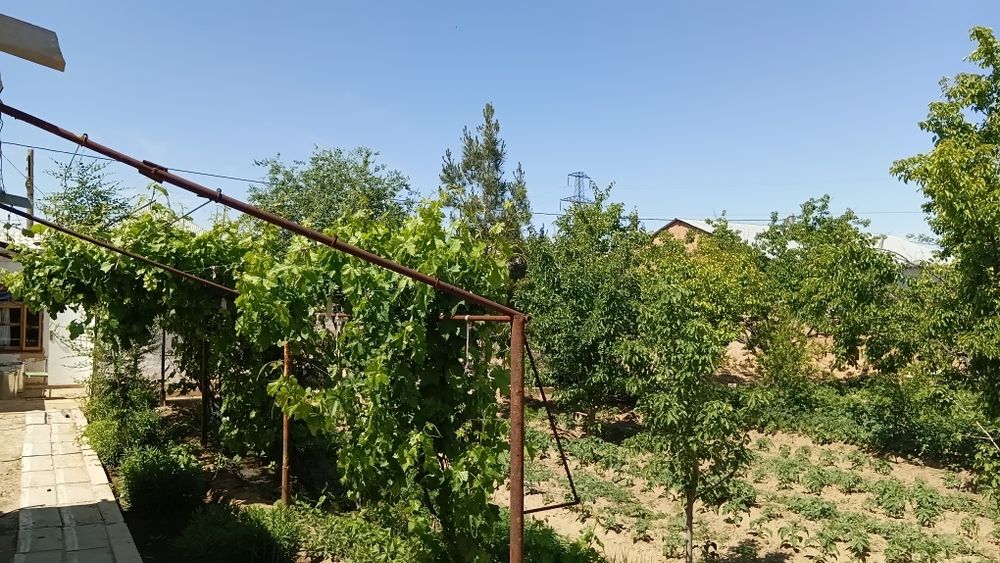Zarafshon shahrida Miraj 2 da hovli sotiladi