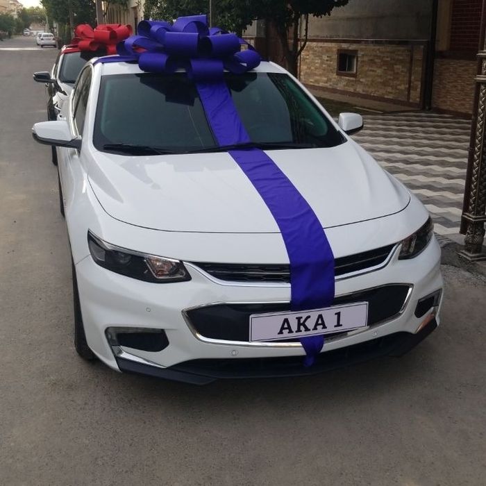 Банты на авто — аренда от 100 000 сум