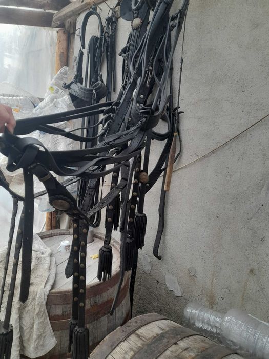 De vanzare ham complet,haturi si capitala constanta