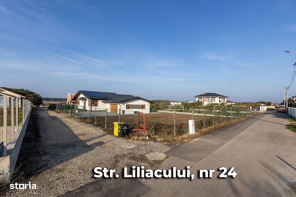 Priveliște către râul Vlăsia și Pădurea Vlăsiei, Strada Liliacului