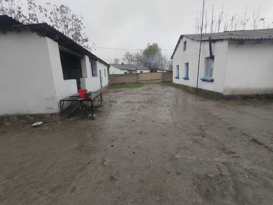 Tezda uy sotiladi – Bo‘ka tumani