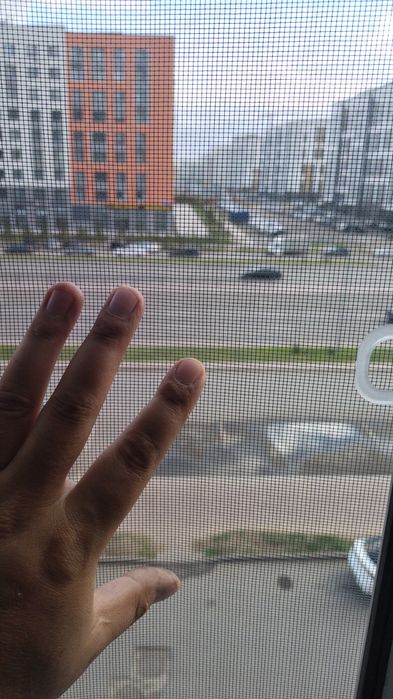 Москитные сетки наружные и внутренние.