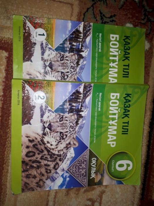 Книга Бойтумар 6класс