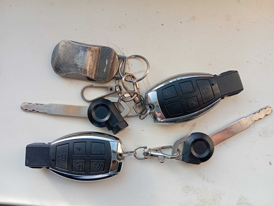 GST Tiger Yilli 2024