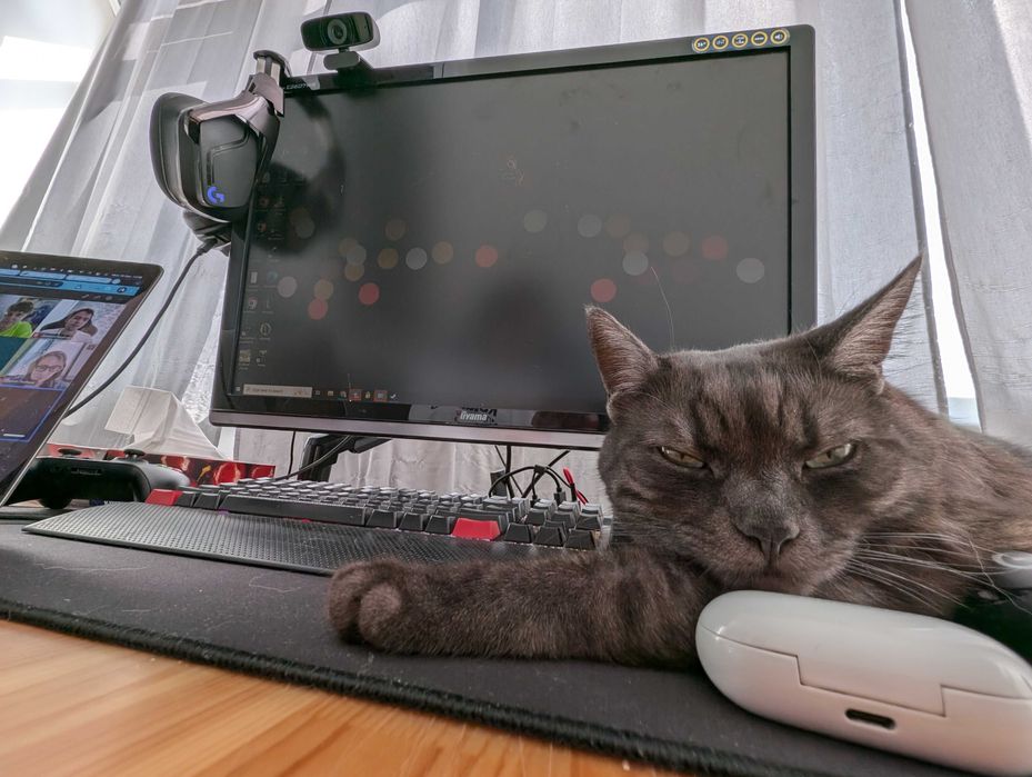 Монитор 26" Iiyama ProLite E2607WS без подставки