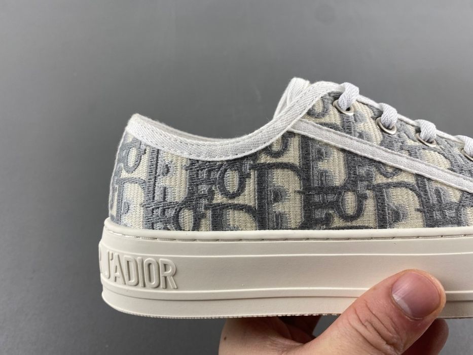 Dior Walk’N’Dior Oblique Canvas