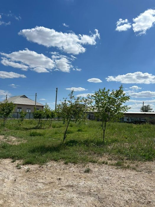 Уй сатылады,Шиели